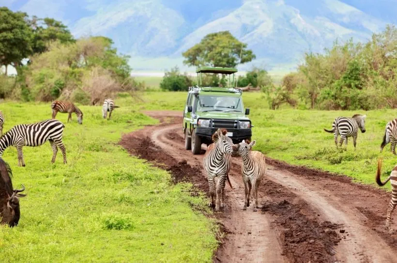 How Much Does a 7 Day Safari Cost in Tanzania ?