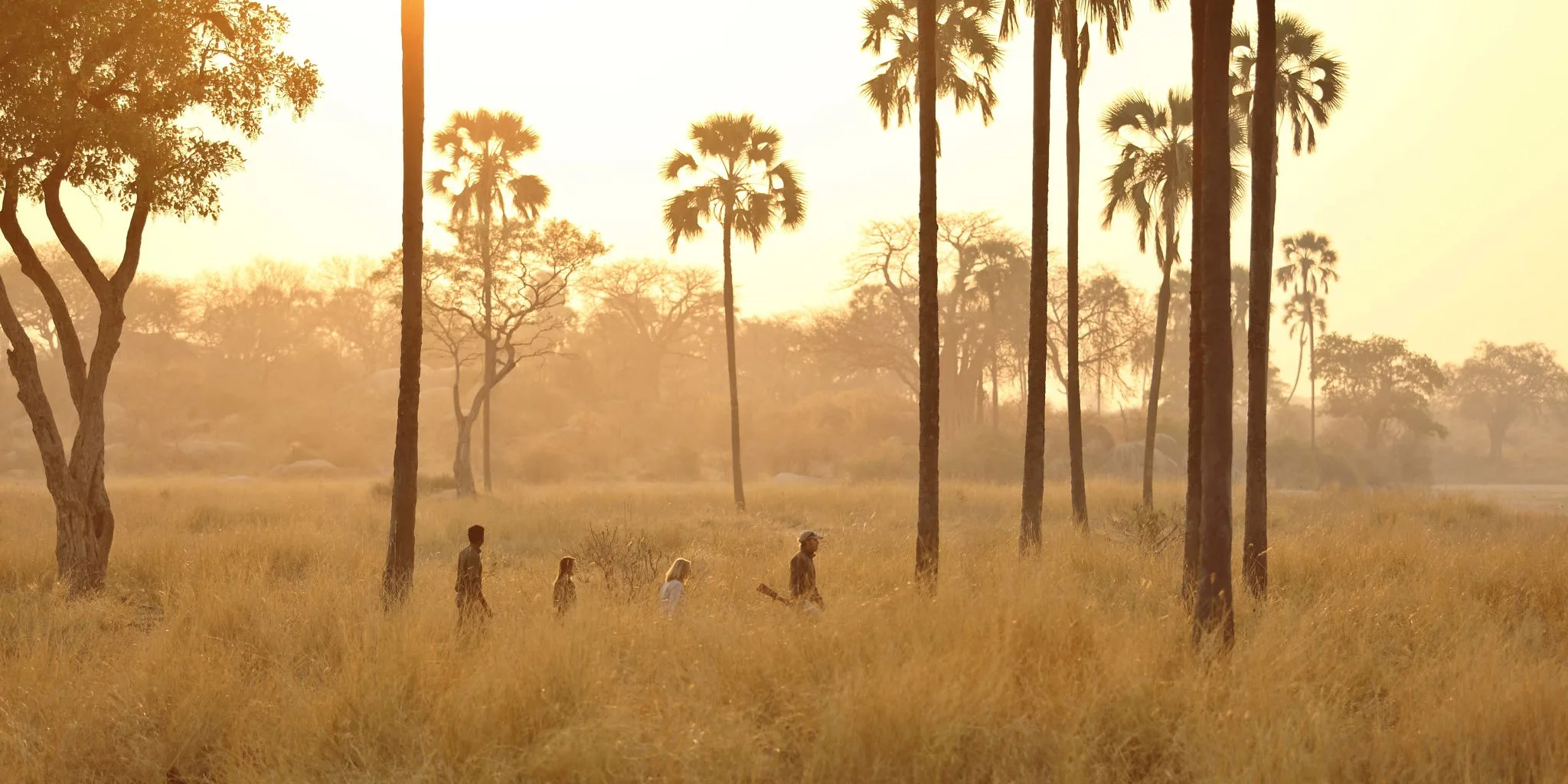 Luxury bush camp sundowner experience in remote Ruaha National Park.