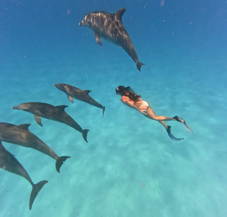 Snorkeling the Mnemba Atoll - Zanzibar Experience