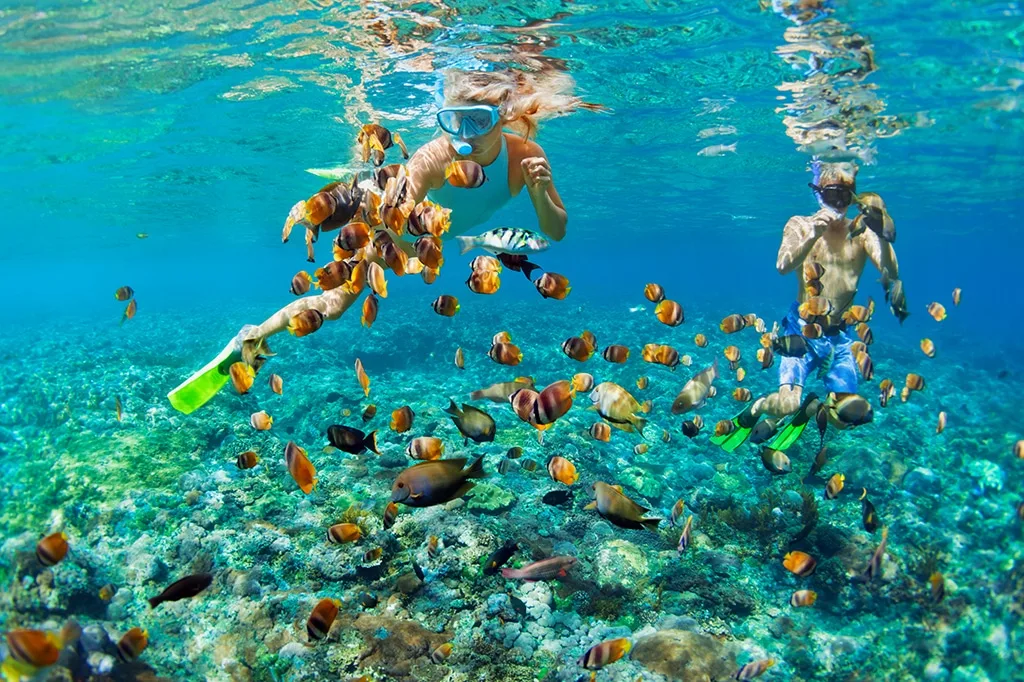 Snorkeling the Mnemba Atoll - Zanzibar Experience