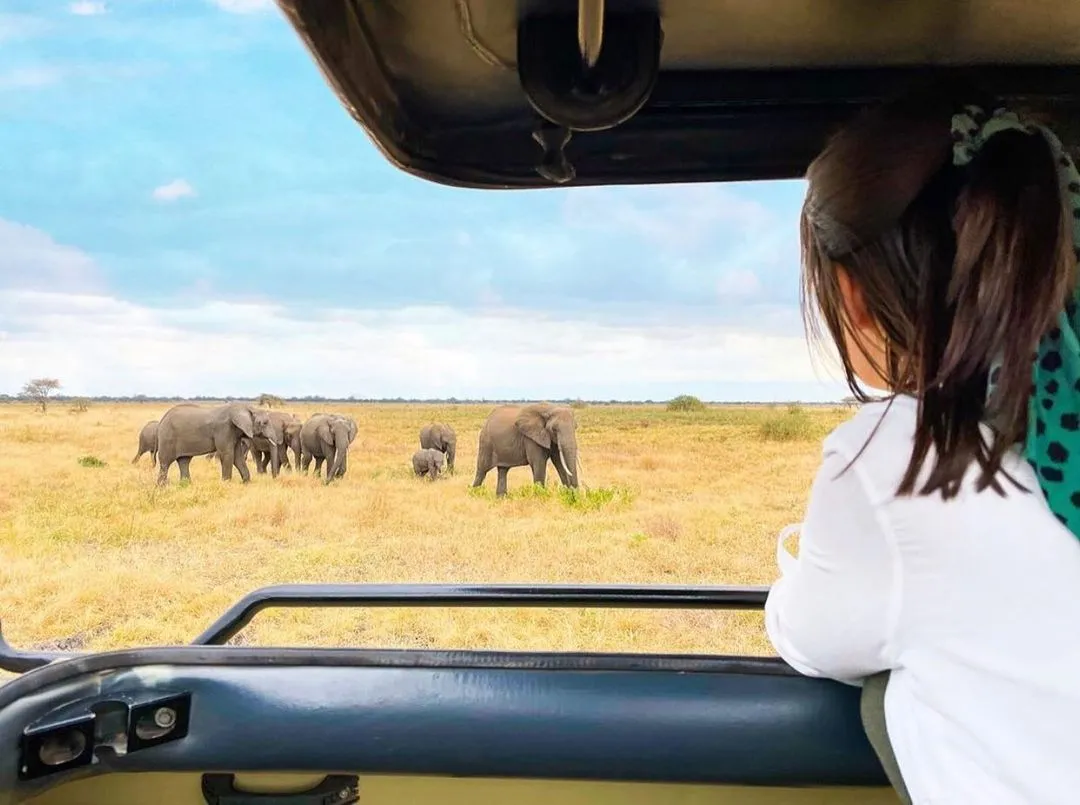 Read more about the article What Is the Best Safari Tour Company?