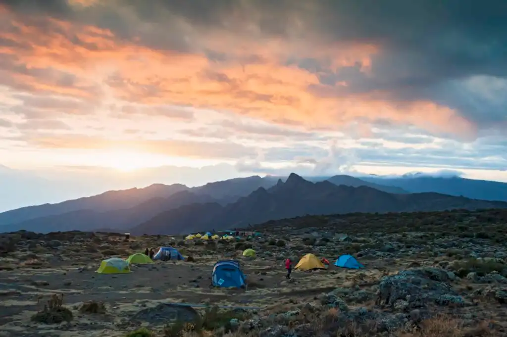 7 Days Machame Route Climb Kilimanjaro