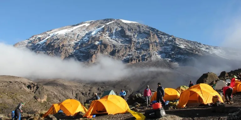 Calculate Your Kilimanjaro Summit Success Rate