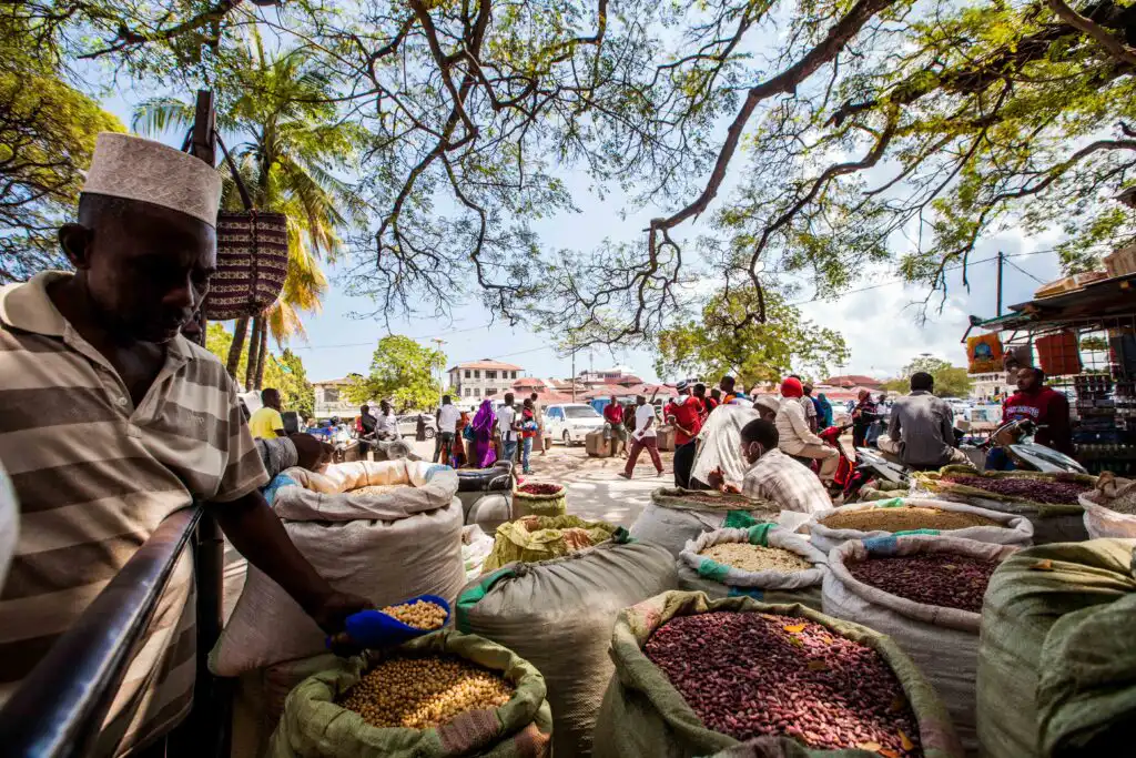 Darajani Market In Zanzibar - Zanzibar Experience