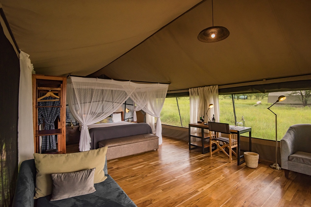 The All-Female Haven: Dunia Camp, Serengeti
