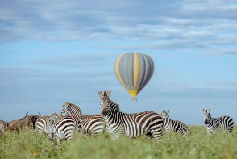 Balloon Safari Experience In Serengeti National Park