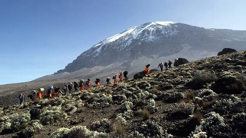Read more about the article Kilimanjaro Packages From South Africa