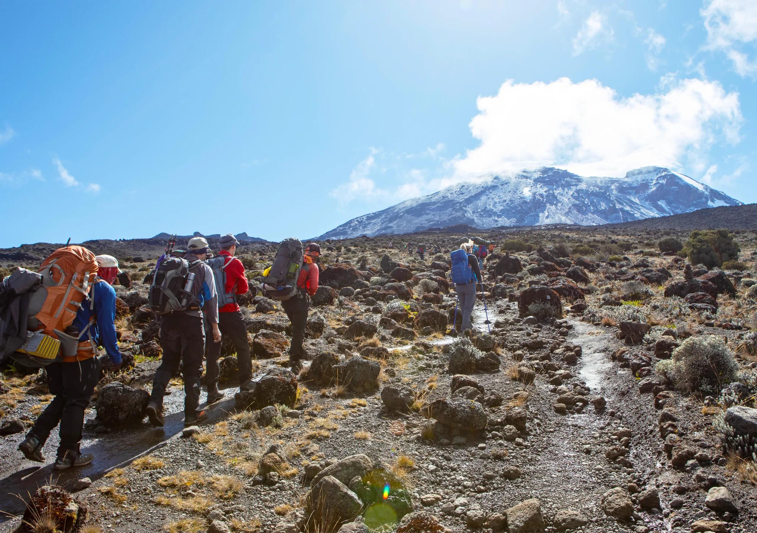 thical climbing team including porters and South African hikers on Mount Kilimanjaro