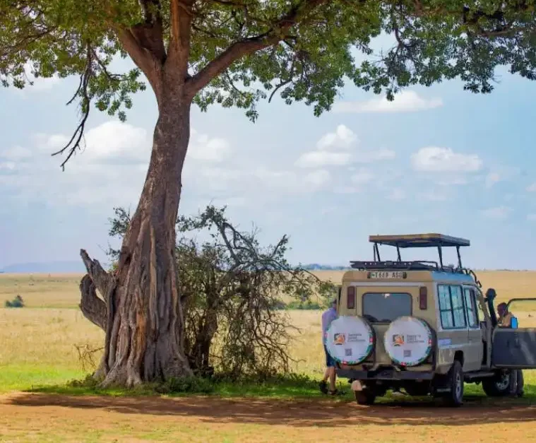 Game drive in Serengeti National Park