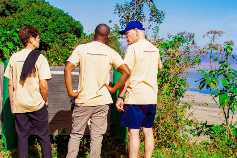 Safari guide from Tanzania Safari Experience explaining the Ngorongoro Crater viewpoint to visitors overlooking the crater landscape.