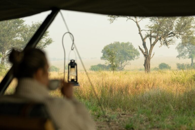 Tanzania Safaris for Solo Female Travelers