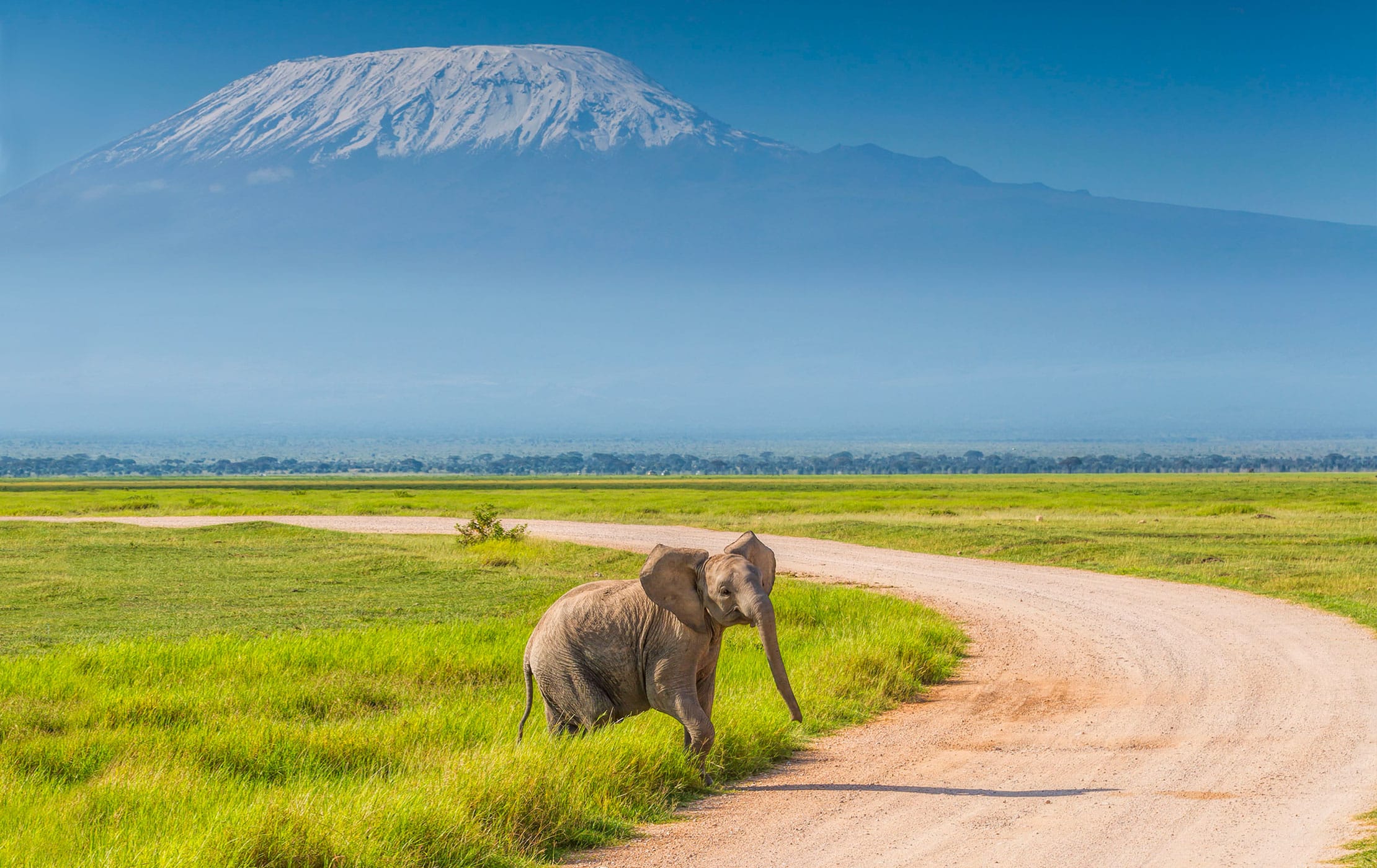 Is a Kenyan safari worth it? Amboseli National Park Safari Experience