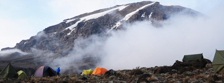 Lemosho Summit Success Rate - Kilimanjaro Experience