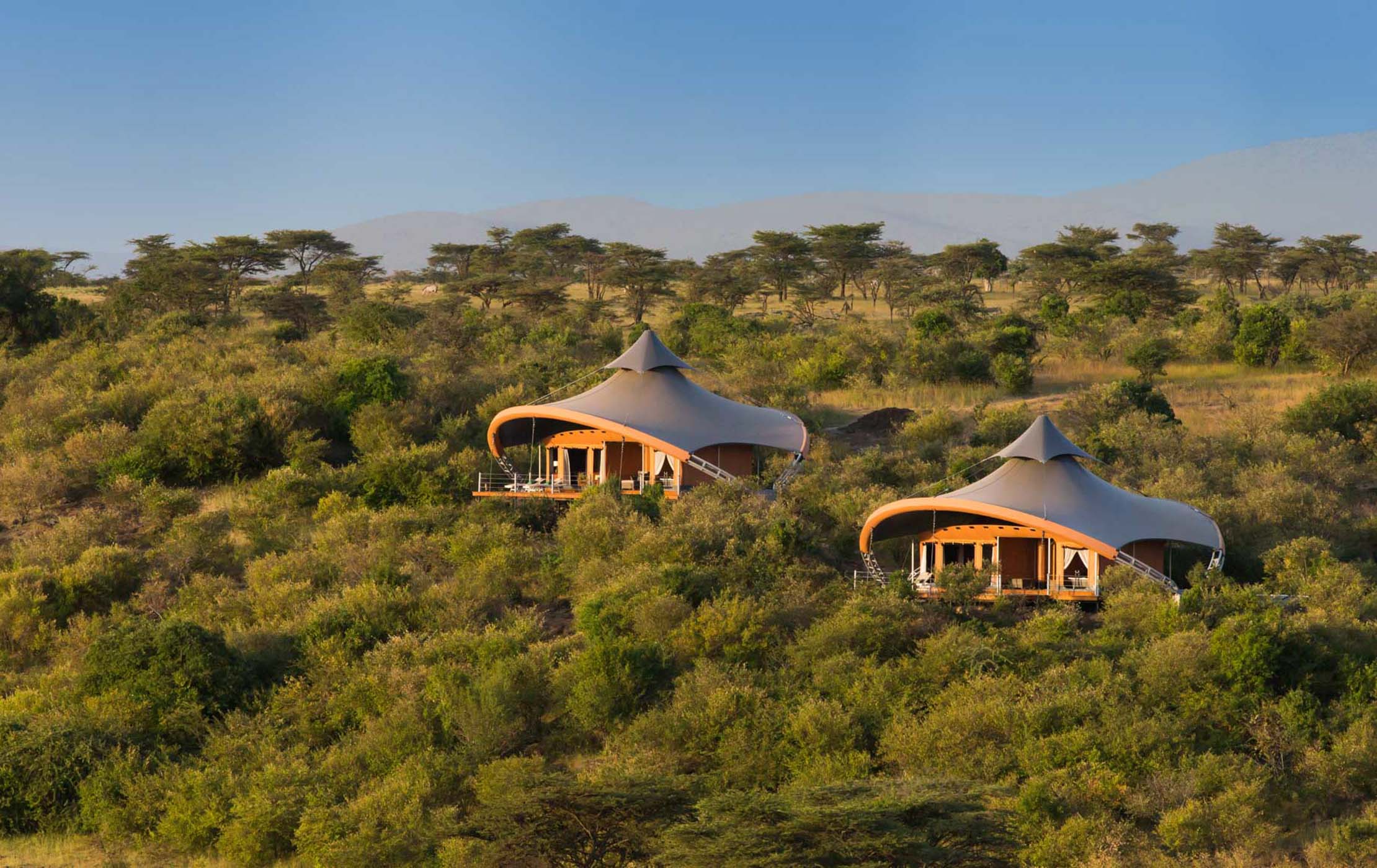Is a Kenyan safari worth it? Mahali Mzuri - Camps & Lodges
