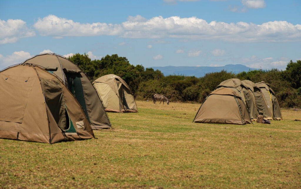 Ngorongoro Simba campsite - Ngorongoro Crater