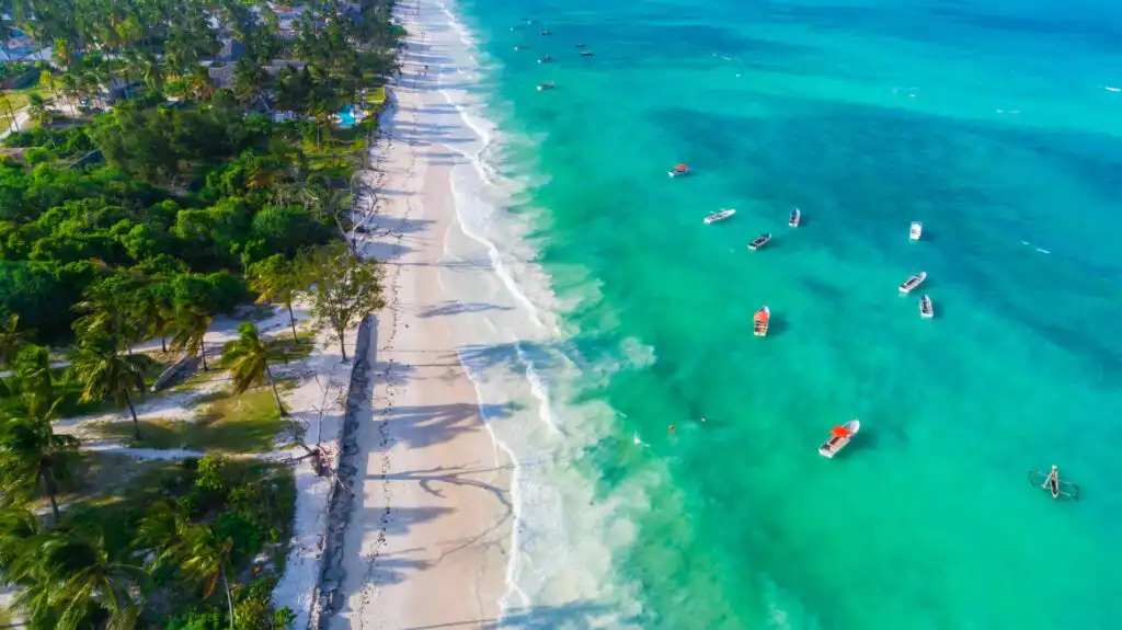 Paje Beach Zanzibar: Ultimate Travel Guide & Things to Do