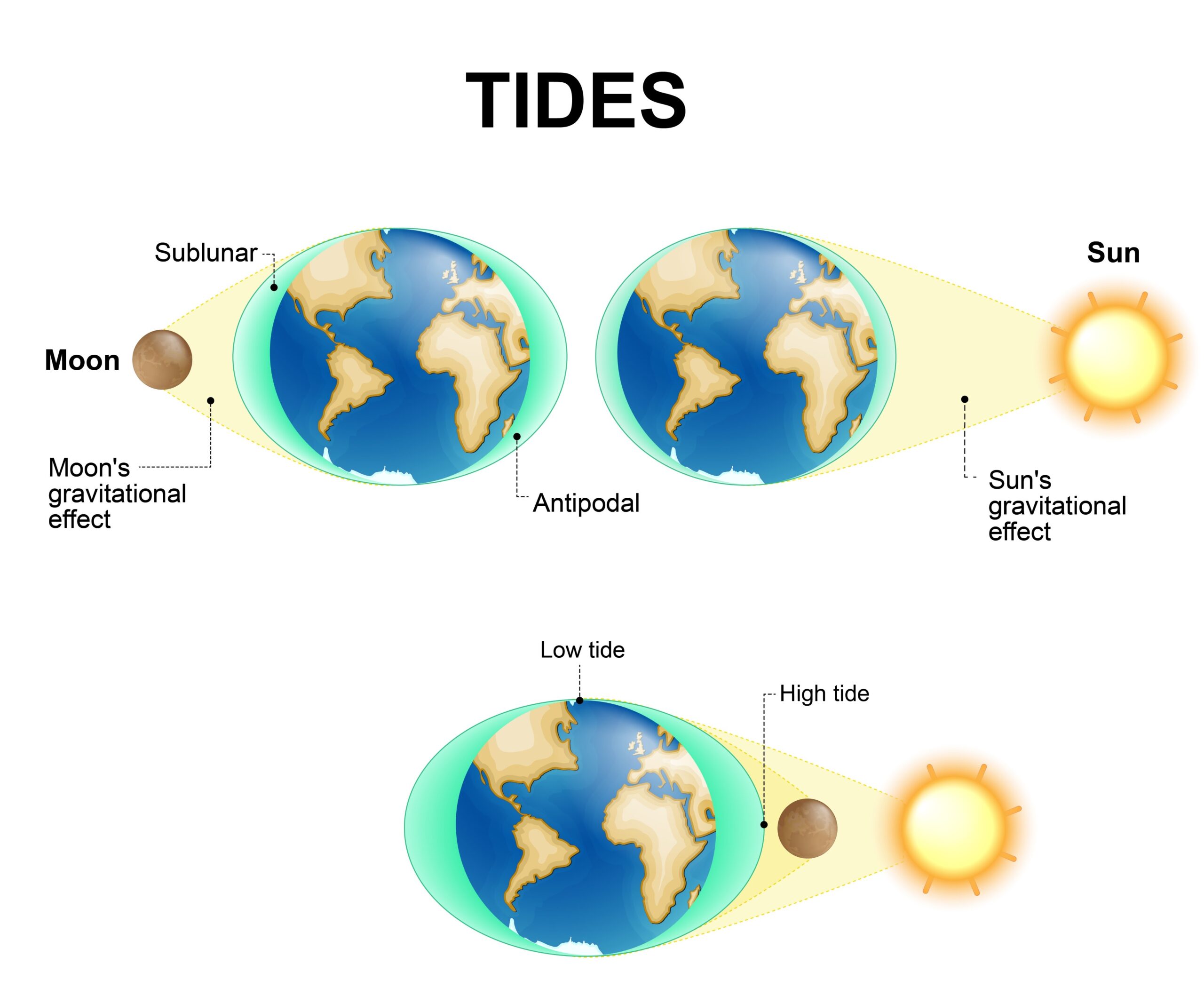 What causes tides? - Image by Shutterstock