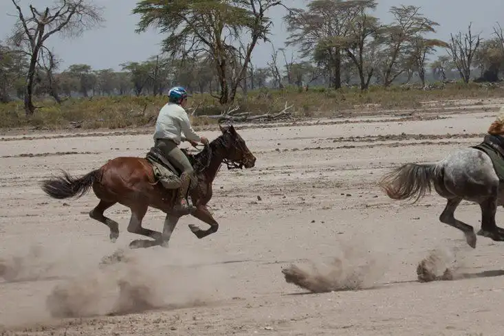 Horse Riding in Tanzania | Horse Back Ride Safaris