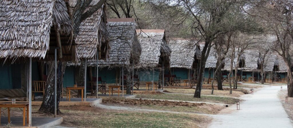 Tarangire Safari Lodge - Tarangire National Park