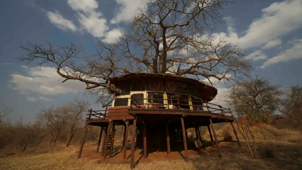 Tarangire Treetops by Elewana