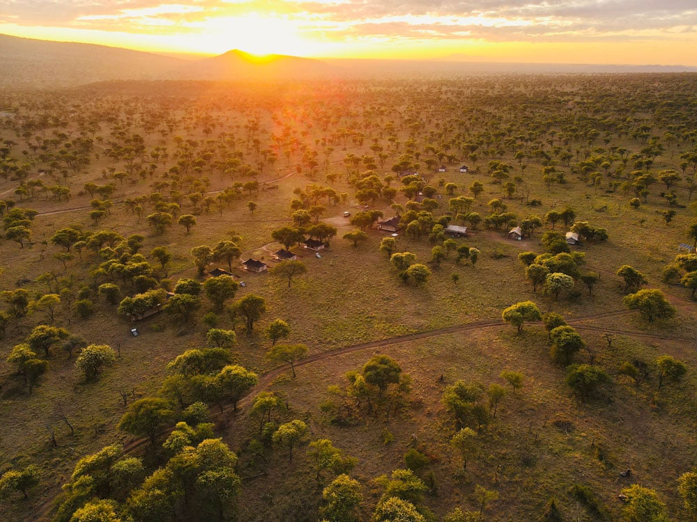 Golden Safari Camps - Serengeti National Park