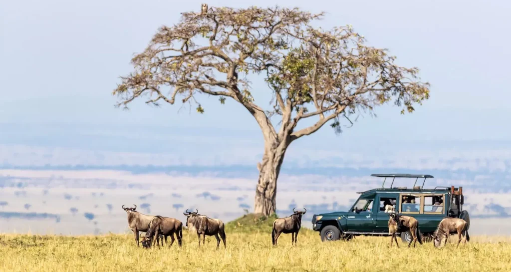 4 Days Private Mid-Range Tanzania Safari 4 Days Private Mid-Range Tanzania Safari