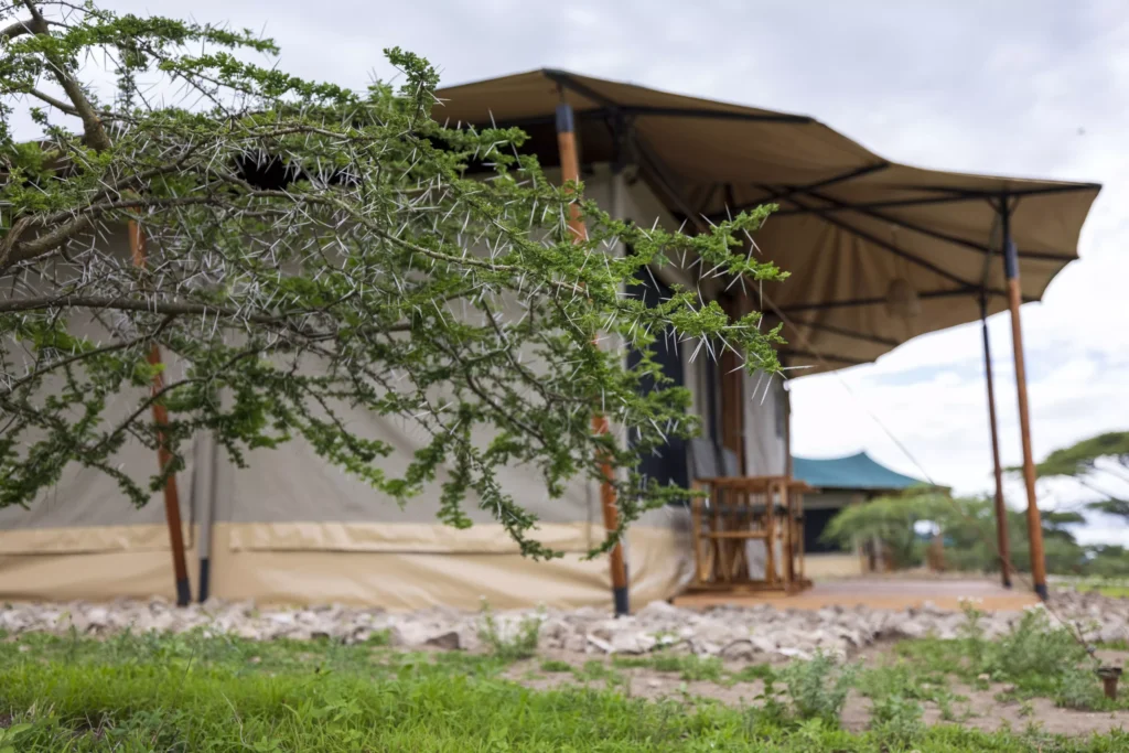 Safari Haven Migration Camp Kogatende