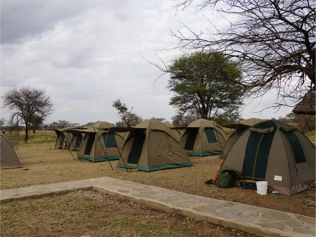Seronera Public Campsite - Serengeti National Park