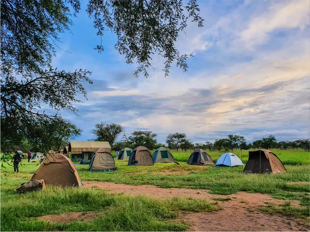 Seronera Public Campsite - Serengeti National Park