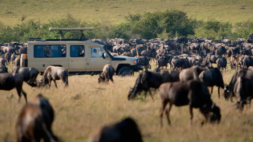 7 Day Tanzania Safari Serengeti Migration & Ngorongoro