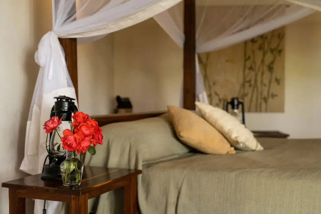 Ngorongoro Farm House, Karatu