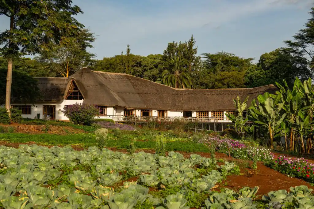 Ngorongoro Farm House, Karatu