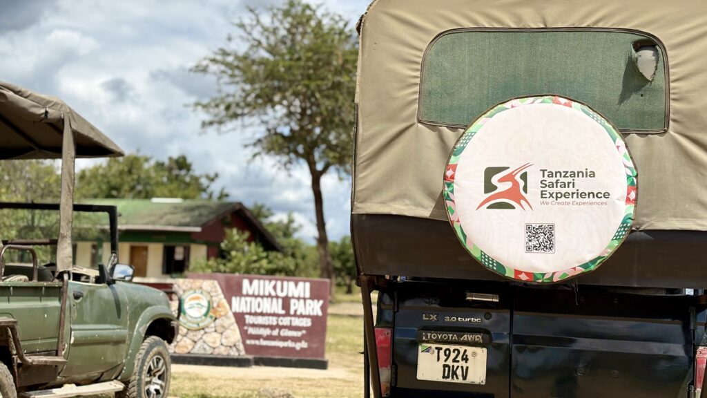 Mikumi Safari From Dar Es Salaam