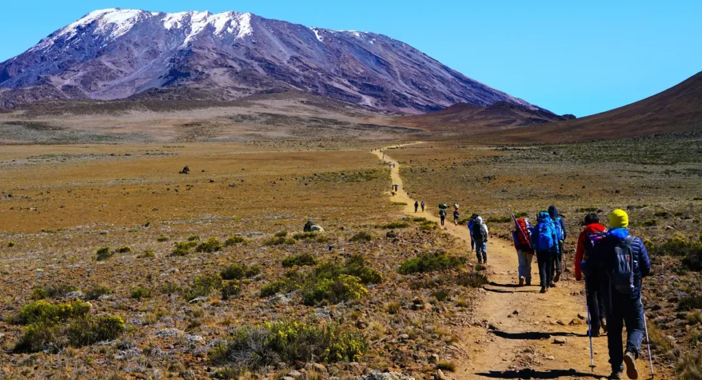 Machame Route (7 Days) | Kilimanjaro Climb Guide