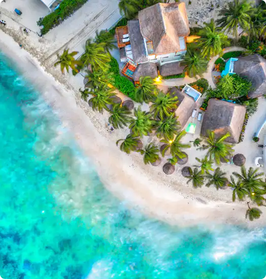 Top-Rated Zanzibar Tour Operators and Excursions