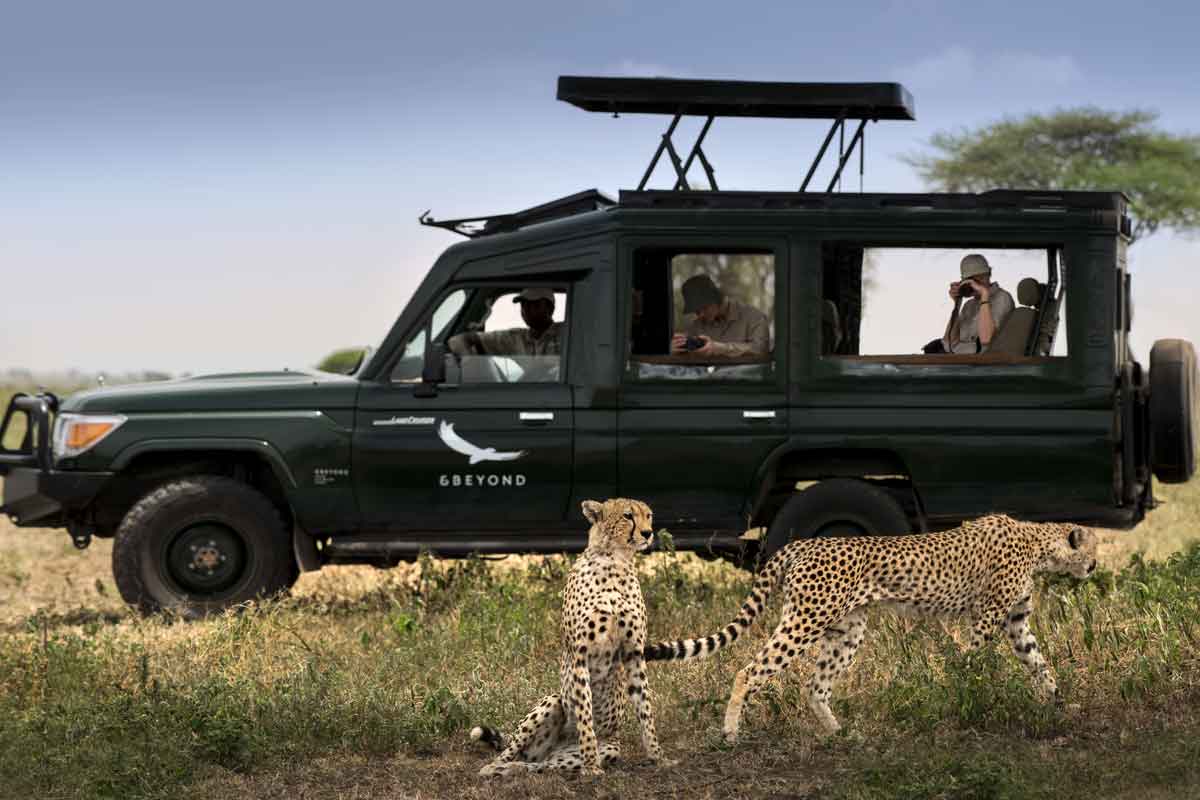 Which is the best Safari Operator in Tanzania? AndBeyond Tanzania Safari | Explore & Travel Africa