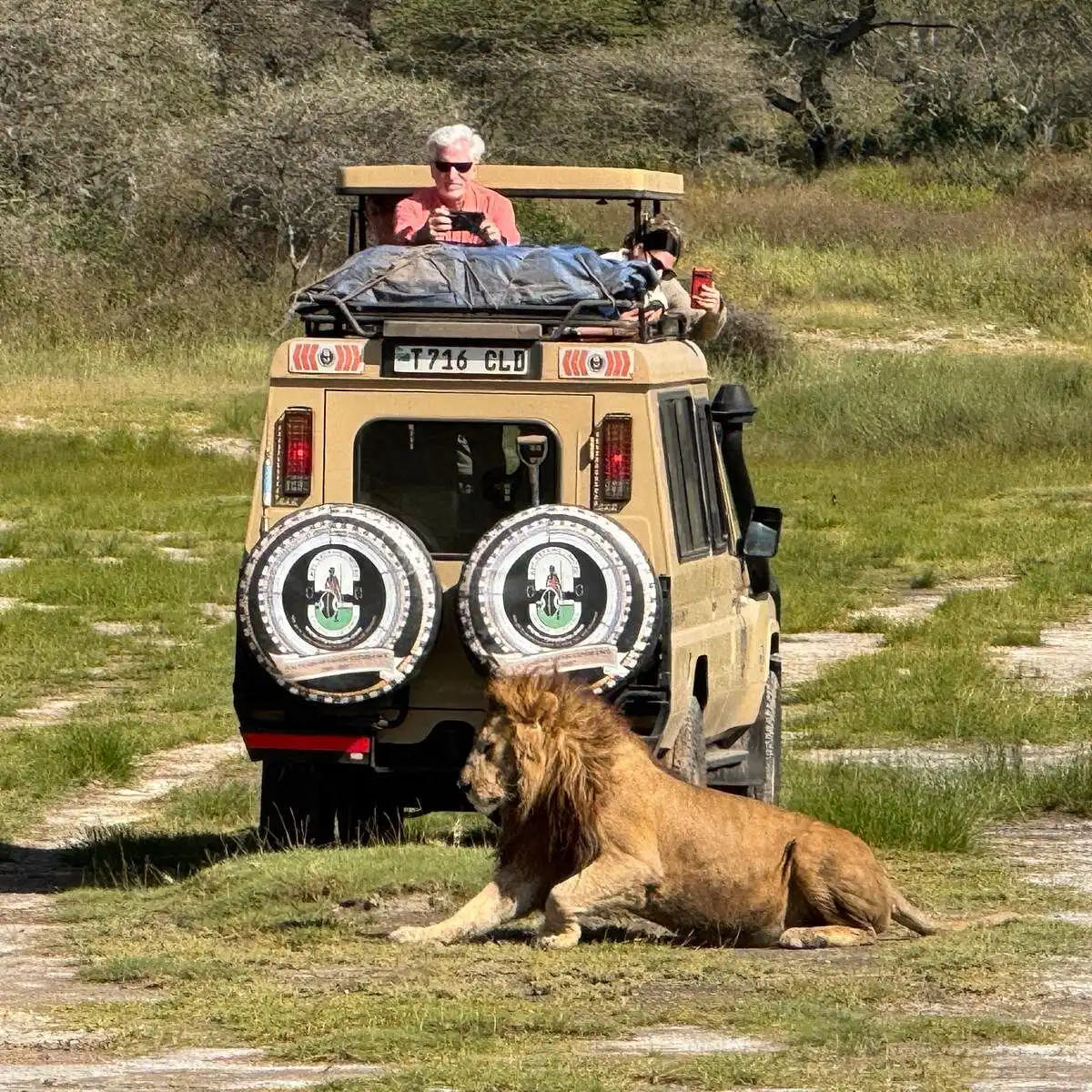 Roy Safaris | Top-Rated Tanzania Tour Operator Since 1989
