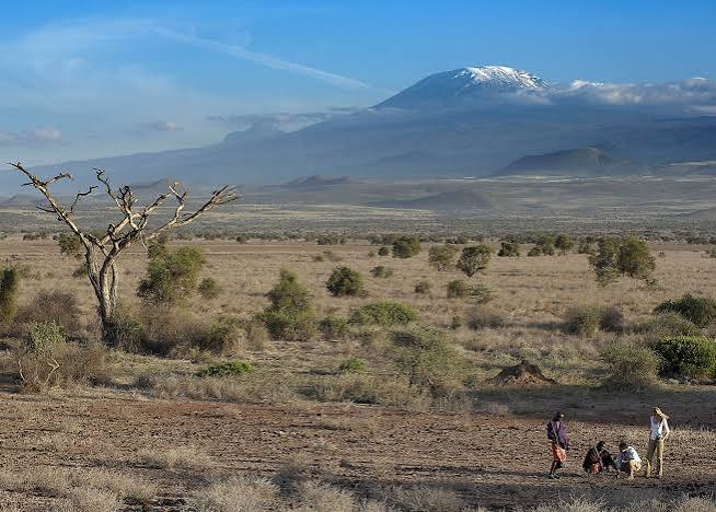 Western Kilimanjaro Safari: Tanzania's Hidden Gem