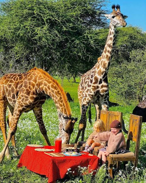 Serval Wildlife | Luxury Safari Park & Eco Resort in Tanzania
