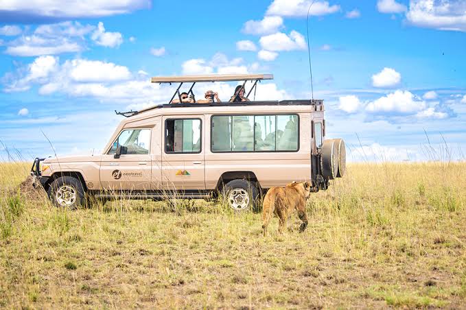 Which is the best Safari Operator in Tanzania? Your Guide to Booking a Trip to Tanzania | Easy Travel