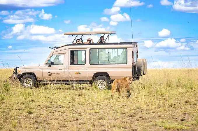 Your Guide to Booking a Trip to Tanzania | Easy Travel