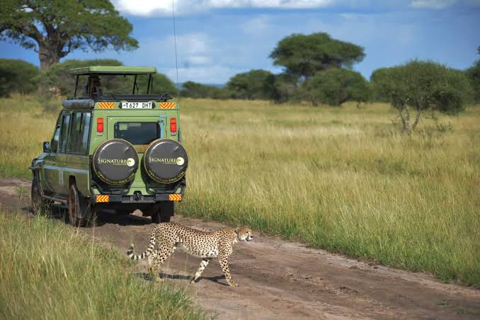 Which is the best Safari Operator in Tanzania? Tanzania Safari Tours & Luxury African Safaris by Leopard Tours
