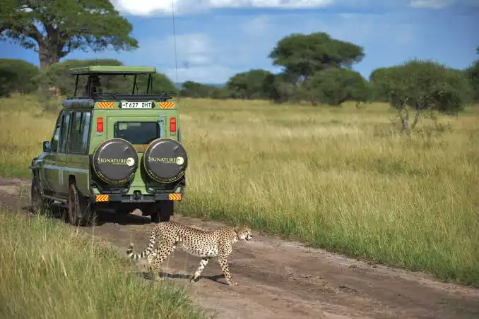 Tanzania Safari Tours & Luxury African Safaris by Leopard Tours