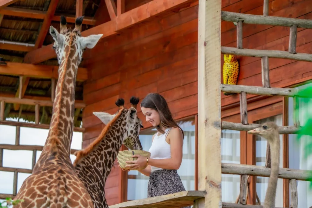 Serval Wildlife | Luxury Safari Park & Eco Resort in Tanzania