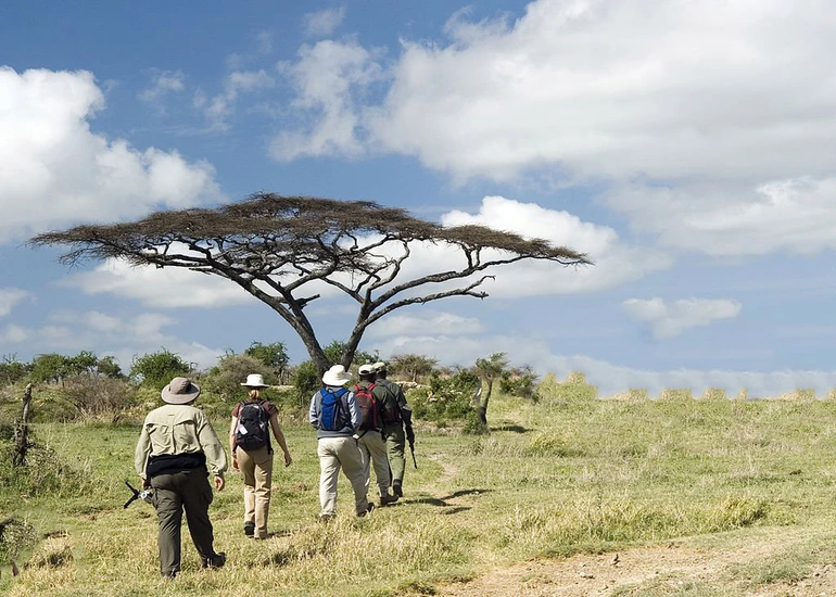 How to Find Reputable Companies Offering Walking Safaris in Tarangire Walking Safari in Tarangire