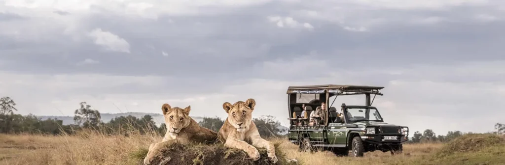 homepage 3 Days Luxury Safari From Zanzibar to Serengeti and Ngorongoro