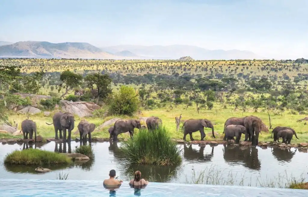 Four Seasons Safari Lodge Serengeti
