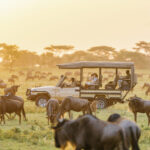 Game Drive at Masai Mara Safari by Bushtops