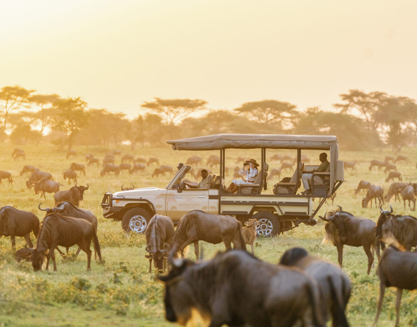 Game Drive at Masai Mara Safari by Bushtops