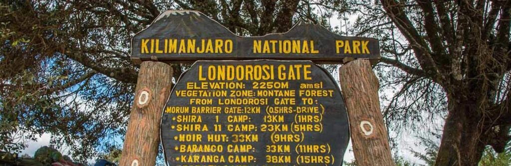 Londorossi Gate to Mti Mkubwa Camp | Elevation: 2,100m to 2,650m